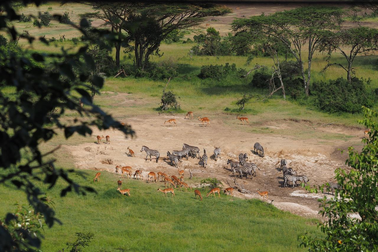 מלון Naboisho Saruni Eagle View מראה חיצוני תמונה